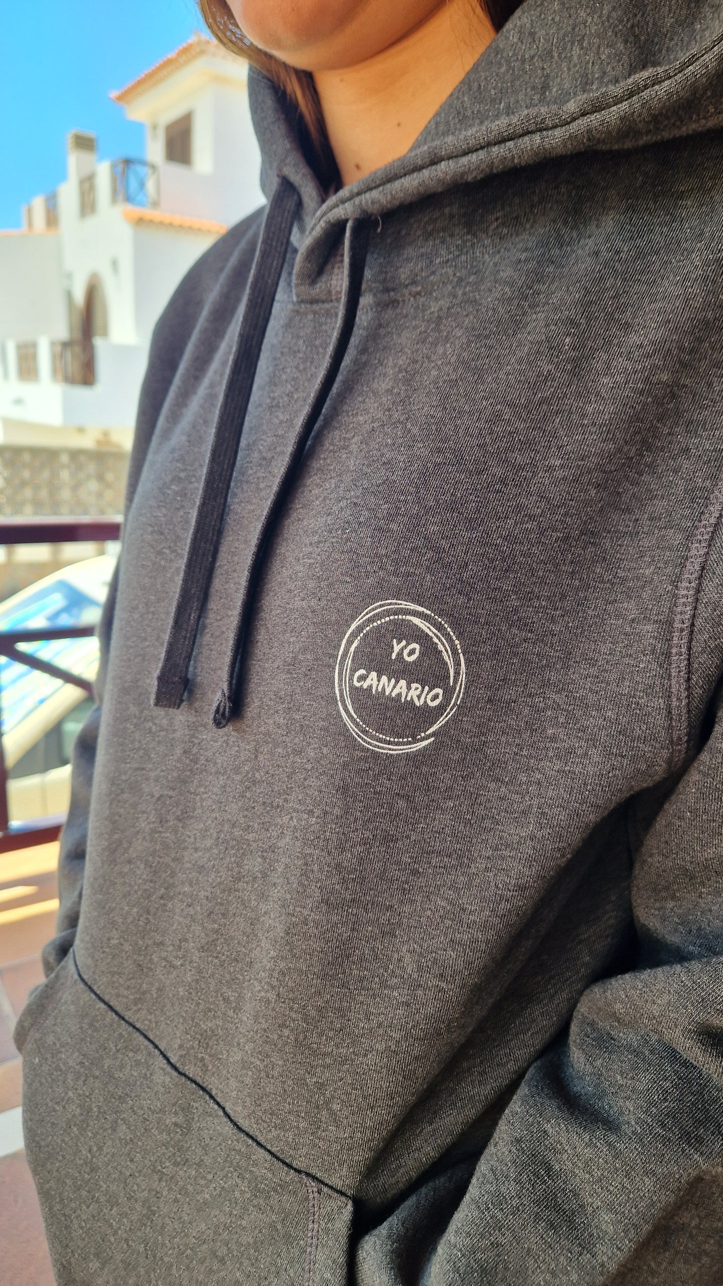 Sudadera PALMERAS ESPEJO Antracita